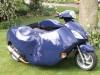 Blue Nippi 80cc - Piaggio Fly